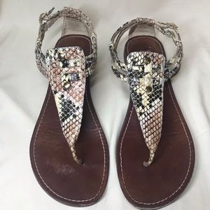 Steve Madden Python/Snake Print Sandals